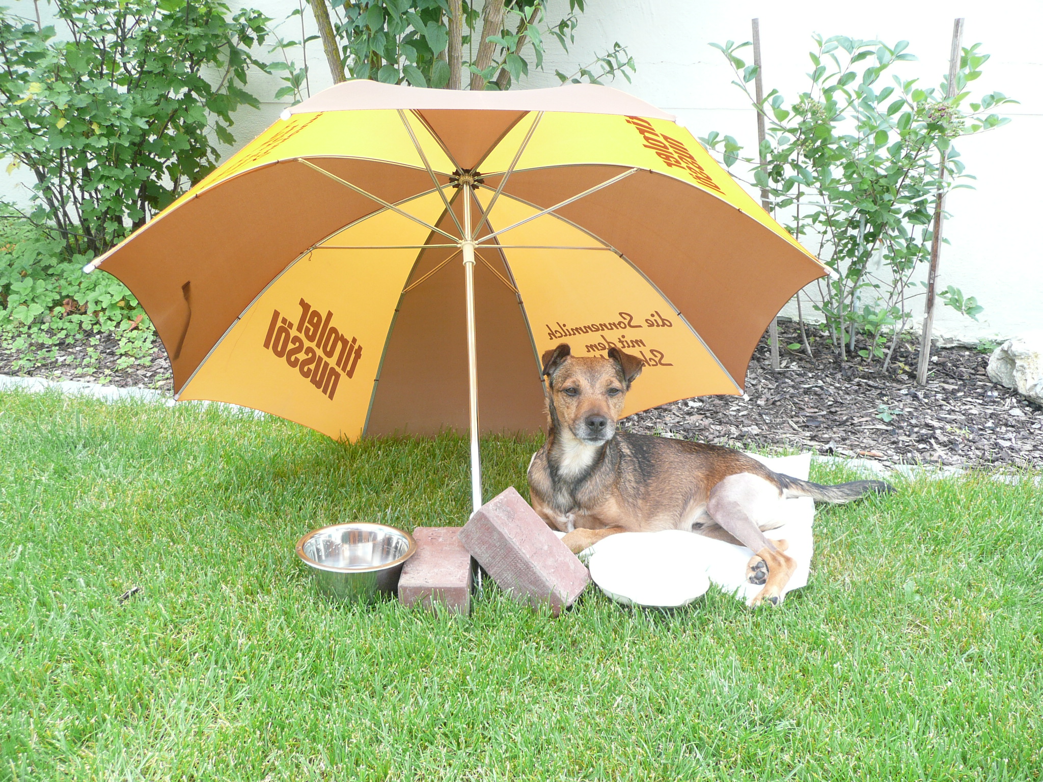 Hopsi - Polyradikulo-Neuritis.JPG (2048 x 1536)